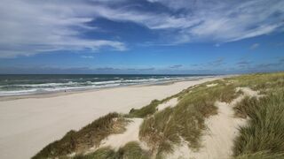 Regenerieren Regenerieren